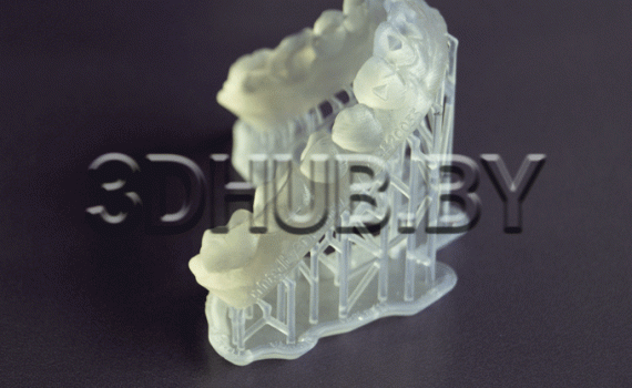 Модель из Dental LT Clear resin
